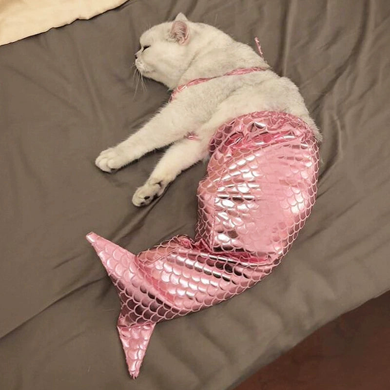 人魚の子猫の服