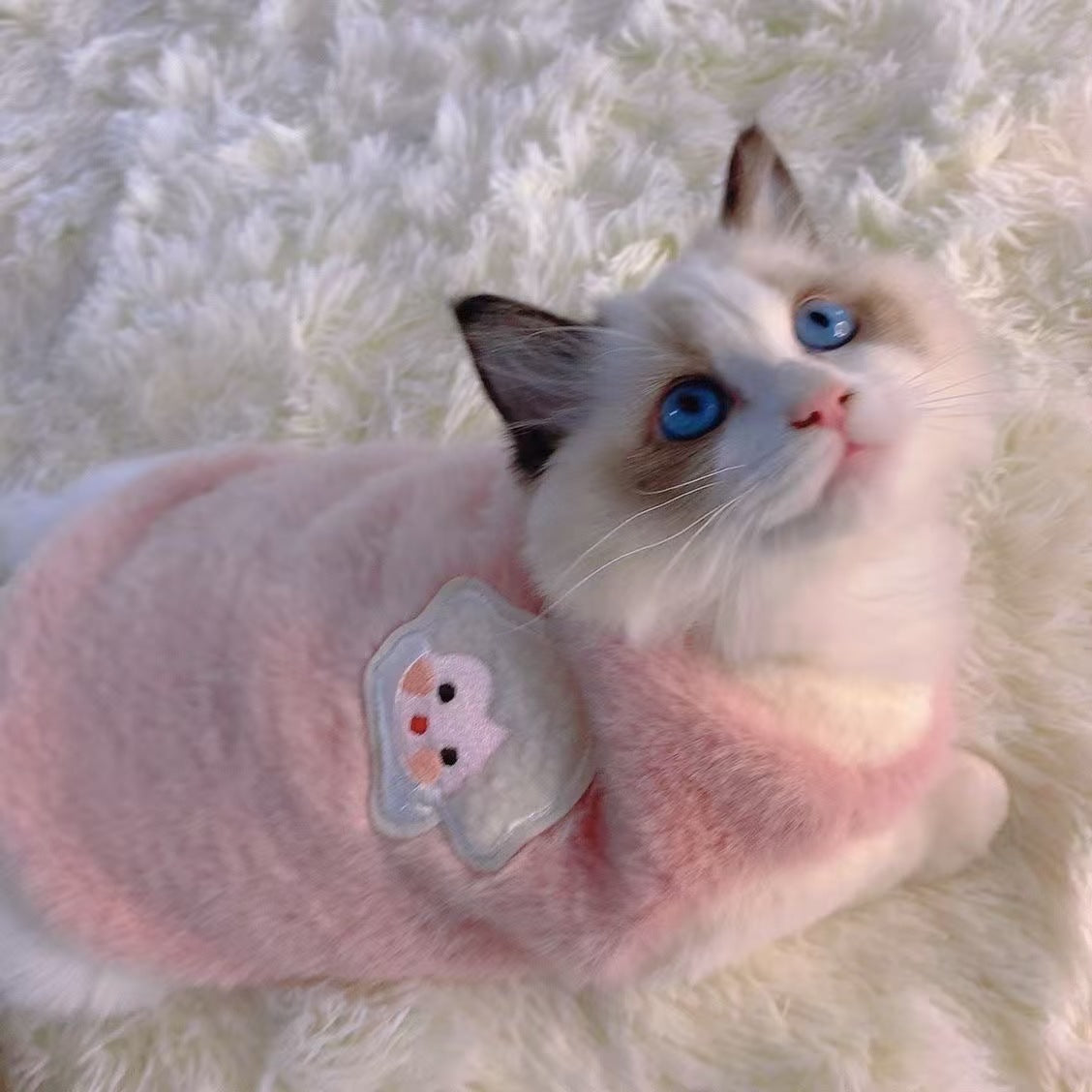 Spring and winter cat clothes warm vest fleece