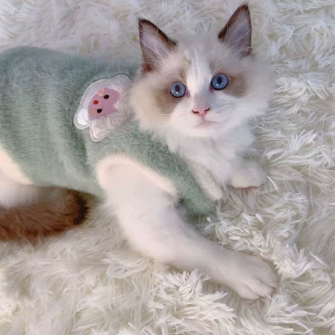 Spring and winter cat clothes warm vest fleece