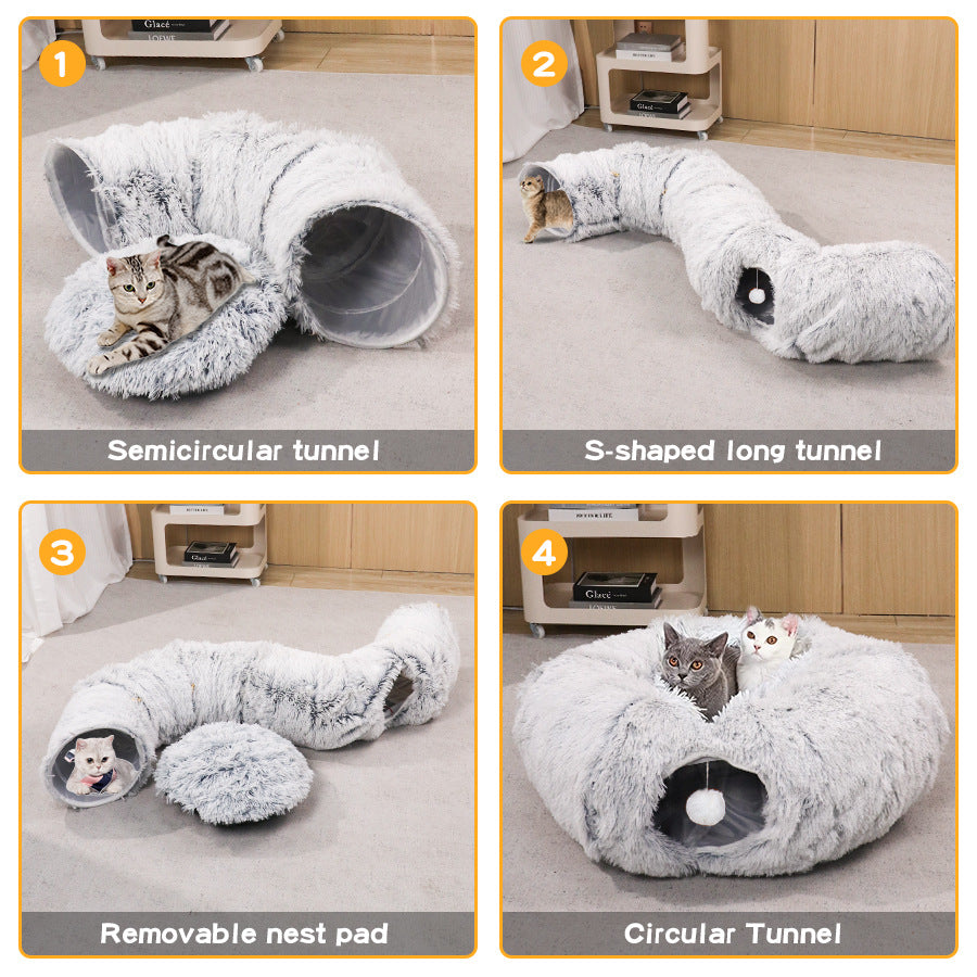 Winter Cat Tunnel