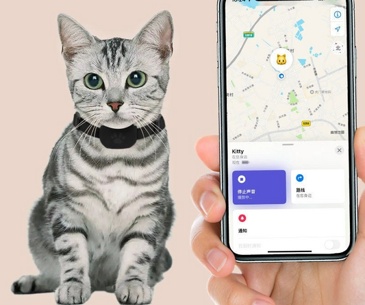 私の猫を探す GPS トラッカー